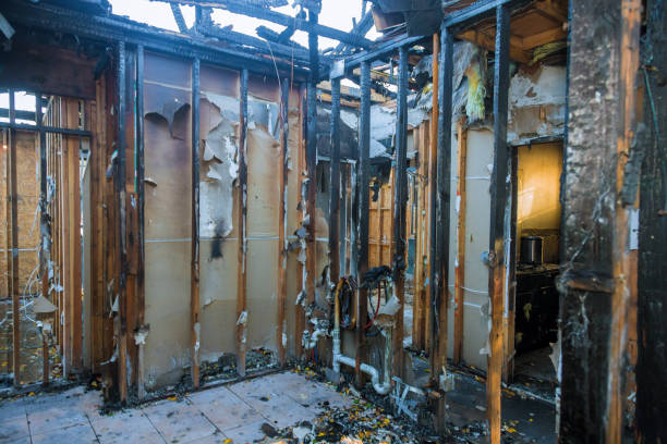 Professional Smoke Damage Removal technician working in Henderson, TX
