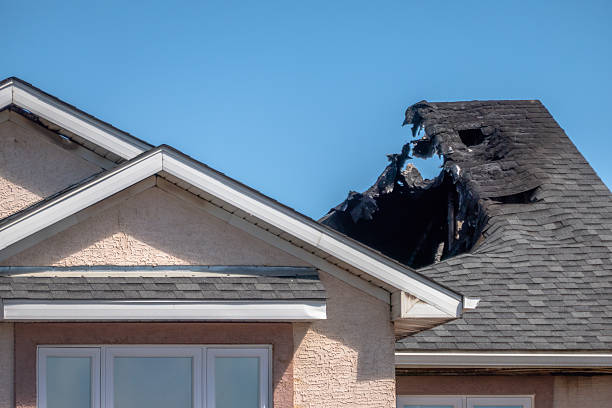 Top rated local Smoke Damage Removal specialists in Henderson, TX